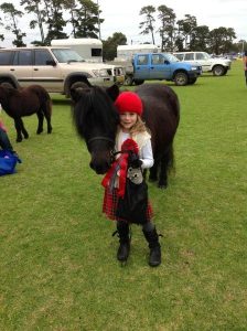 Scots and history take centre stage