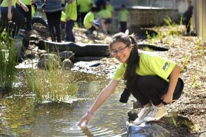 Wetland warriors test the water