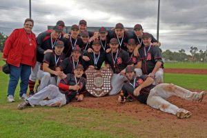 Dandenong makes big pitch