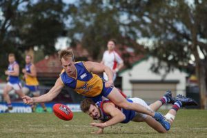 Bulls chase off Dogs