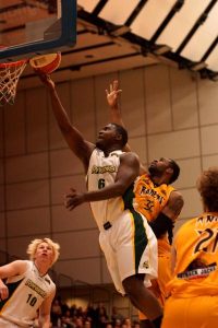 Green and Gold all the way