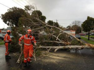Emergency services weather the storms