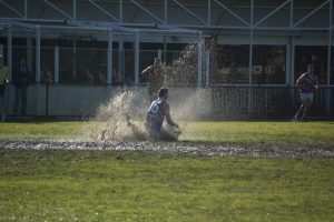 Bulls’ run… undone