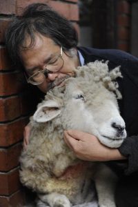 Baa the sheep goes to sleep