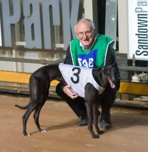 Diamond in the… Ruff!