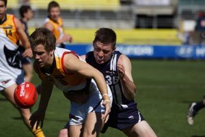 Stingrays test their mettle