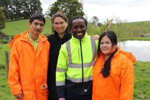 Migrants enter new fields