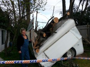 ‘Call’ saves woman from tree-fall trauma