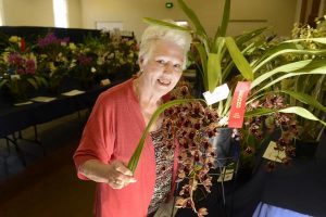 Flower growers pot prizes