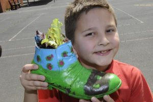 Shoe fits for a healthy feed