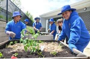 Good deeds get set to sprout