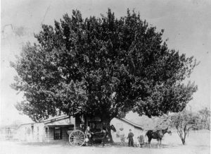 Prime farming paddock for founding family