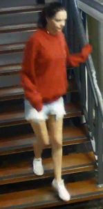 Police hunt pair after factory break-ins