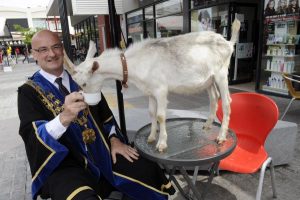 Go for goats