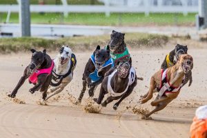 Sponsors fizzle out over race scandal