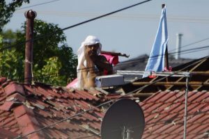 Non-lethal end to Noble Park siege