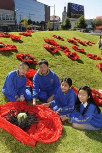 Red poppies to remember