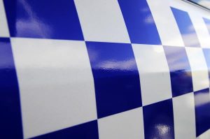 Driver killed in tree smash