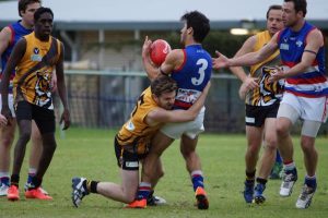 Tigers’ hearts beat true at Masala