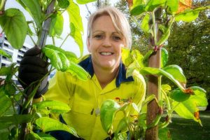 Parks team show that food is good to grow