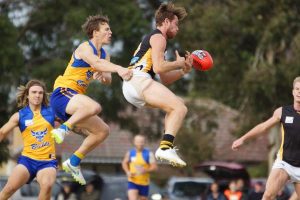 Bulls carved up by Tigers