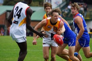 Stingrays sharpen up