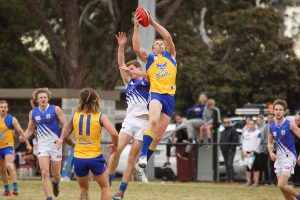 Bullish effort for young Noble Park