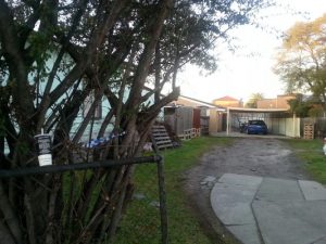 Overnight Springvale shooting