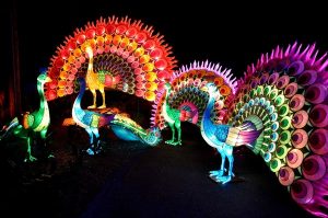 Dandenong up in lights