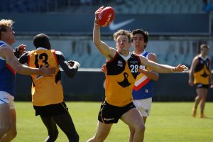 Rays struggle to summit the Ranges