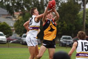 Rays ready for Bushrangers’ assault