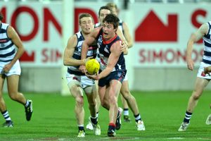 Bull beef up for new season