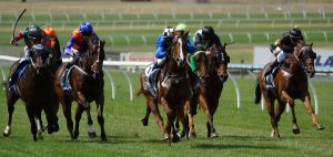 Wild Rain ready for millions