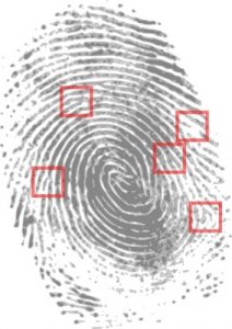 Soft target for burglars