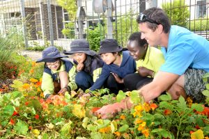 School bags top garden awards