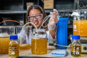 Chipping in for biofuels