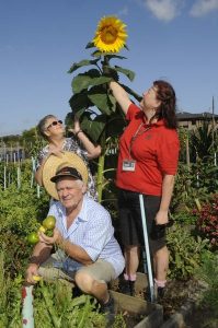 Green thumbs put through paces