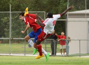Lions roar past White Eagles