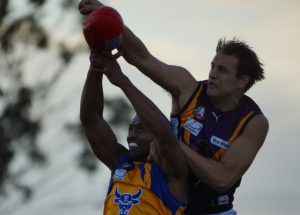 Bulls bury the Norsemen