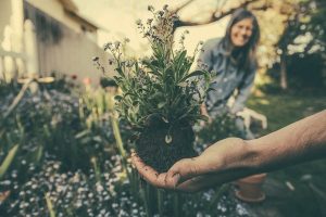 Program digs in for health