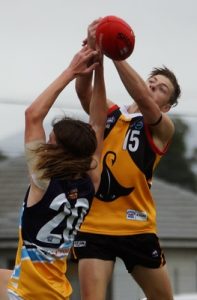 Stingrays shine for state selection