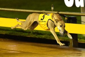 Ask not for whom the bells toll after Sandown upset