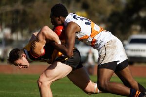 Stingrays become Cannons fodder