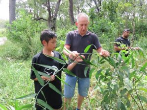 Appreciating culture in Indigenous setting