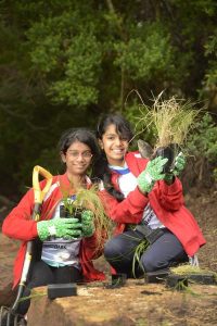 Five things to do in Greater Dandenong