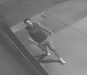 Woman chased and assaulted