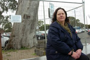 Historic gums face skyrail axe