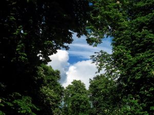 $6m should buy a lot of open space