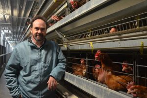 Egg producer lays it on the line