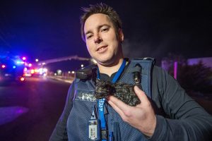 Bikies hit in car-ram arson attack